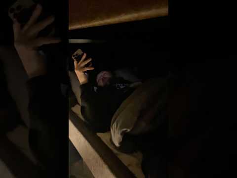 The Movement - Putting the boys the bed