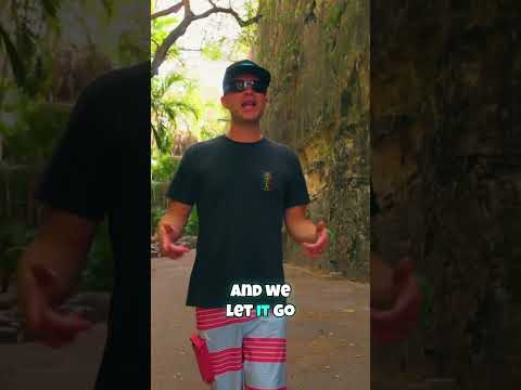 The Movement - "Nice & Slow" with The Elovaters from VISIONS Album