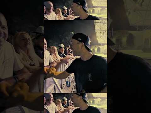 The Movement - Last Chance for 50% Off Merch Goods