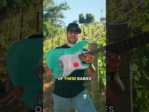 The Movement - Guitar Giveaway at The Mountain Winery