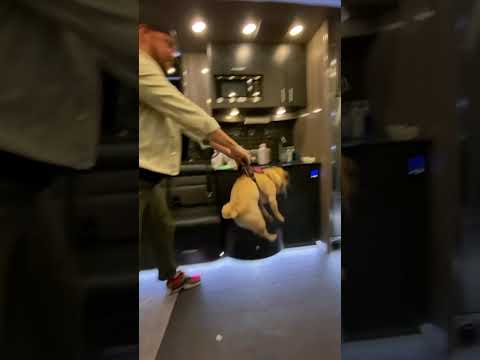 The Movement - Pickles Workout