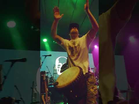 Goodie on the Bongos | Tour Starts Tonight + New Music Tomorrow