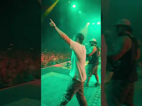 The Movement - Point Break Festival 2025 Recap