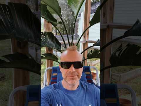 The Movement - Thank you for the love on Visions album!