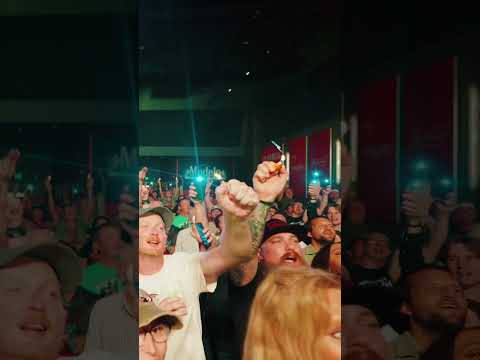 The Movement - When the crowd sings “Habit” back