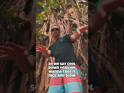 The Movement - Nice & Slow (with The Elovaters) Out Now!