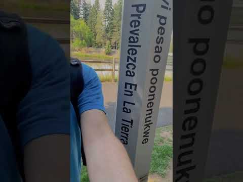 The Movement - Happy Holidays!