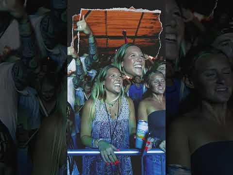 The Movement - Live It Up Teaser