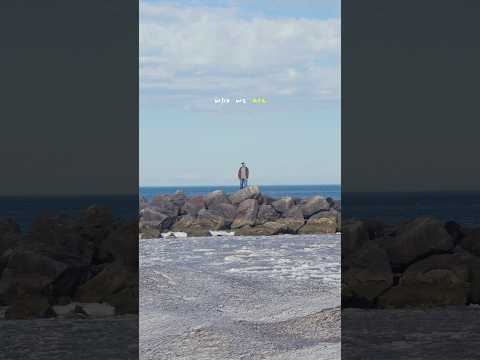 SIGNALS with @themovementvibe is out now! #music #vibes #chill #tropidelic