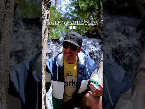 Follow Your Nature is now in the world 🌎 🍃 @CollieBuddzTV & @Eli-Mac #worldwidemusic #globalmusic