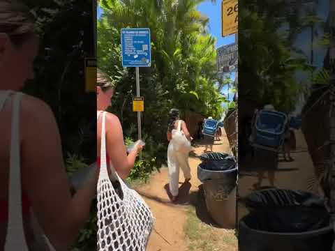 #dayinthelife #dayinmylife #hawaii #whatieatinaday #dailyvlog #healthylifestyle #healthyliving