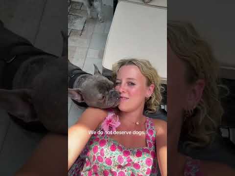 #dogs #dogshorts #healthylifestyle #healthyliving #summer #summershorts #dayinthelife #dailyroutine