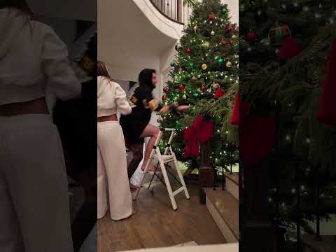 🎄 got the tree up tho!