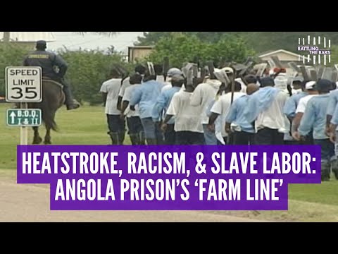Angola prison ‘purposefully simulating chattel slavery’ with ‘inhumane’ Farm Line