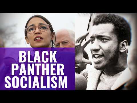 Were the Black Panthers Socialists?