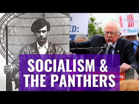What would the Black Panthers say about DSA?