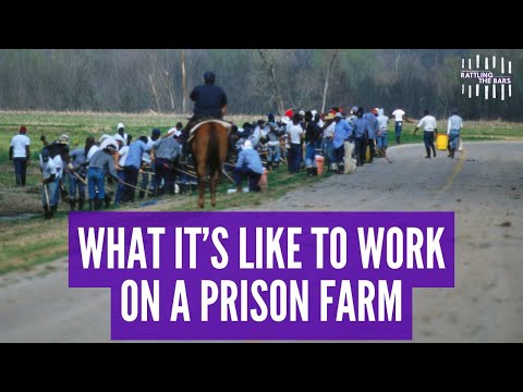 Does your food come from a prison farm? | Rattling the Bars