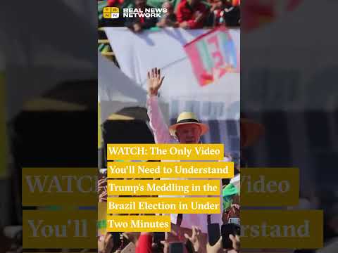 WATCH: The Only Video You'll Need to Understand Trump's Meddling in the Brazil Election