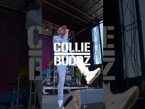 Who’s ready to join us out at Rise and Vibes Music Festival this May?!? 🔥🔥