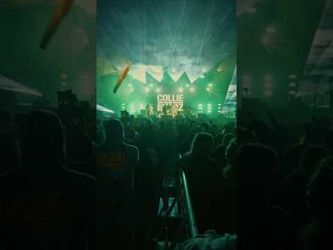 Looking back at this years California Roots Festival and what a night! 🕺🏼🙌🏼💚🍕🎥: @aboveaveragepj