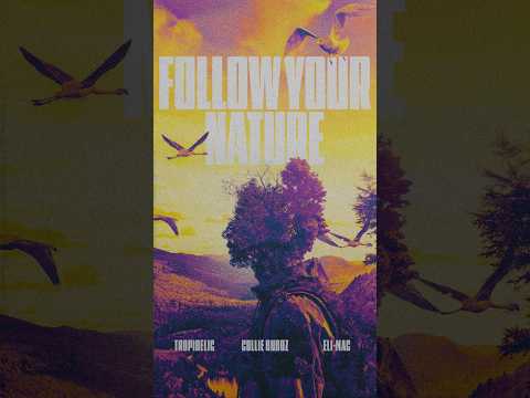Follow Your Nature with Tropidelic & Eli-Mac is out now on all digital platforms 🎧🔥