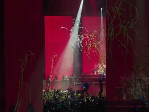 Had the best time with @b@bluemangroupt 311 Day 💙🥁