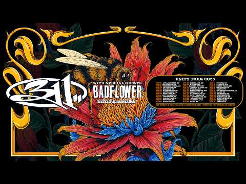 311 Live Stream