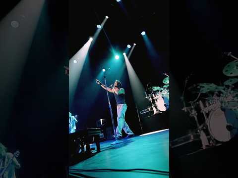 Freak Out | The Road To 311 Day 🫶 4 more days till we celebrate in Las Vegas!