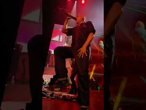 Use code FREAKOUT for pre-sale tickets & VIP packages to our North American tour w/ @DirtyHeads! 🐙