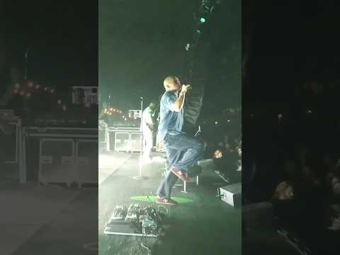 Hydroponic - 2002 vs 2024 #311 #livemusic
