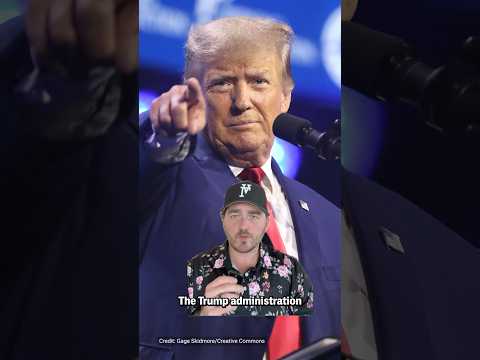 The Trump Administration Is Coming For Your Data. All of it.  #politics #trump