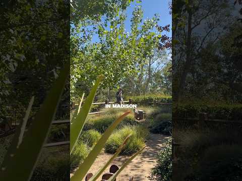 #Madison October 18th, the Skydiving Tour at The Bur Oak 🎟️ at www.surfergirlmusic.com/tour 🏄🏼‍♀️