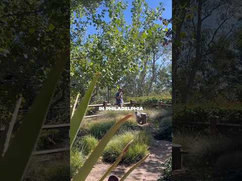 #Philly October 11th, the Skydiving Tour at @WorldCafeLivePHL 🎟️ www.surfergirlmusic.com/tour