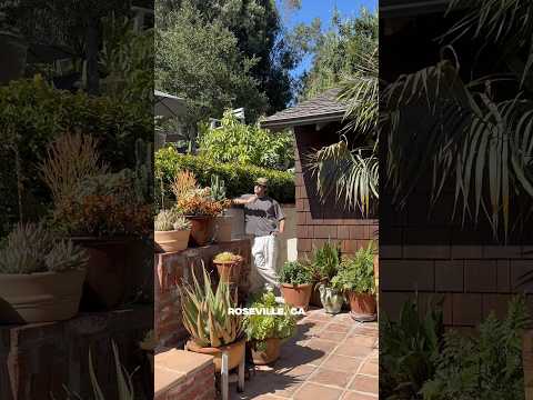 #Roseville California October 28th, the Skydiving Tour 🎟️ at www.surfergirlmusic.com/tour 🏄🏼‍♀️