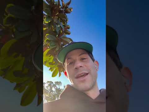 #diml recording the new album!