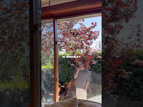 #Berkeley October 29th, the Skydiving Tour 🎟️ at www.surfergirlmusic.com/tour 🏄🏼‍♀️