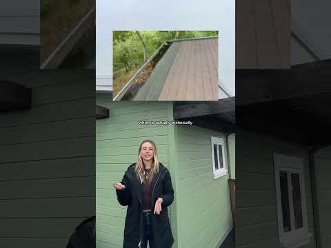 As a realtor I am legally obligated to talk about gutters when it rains