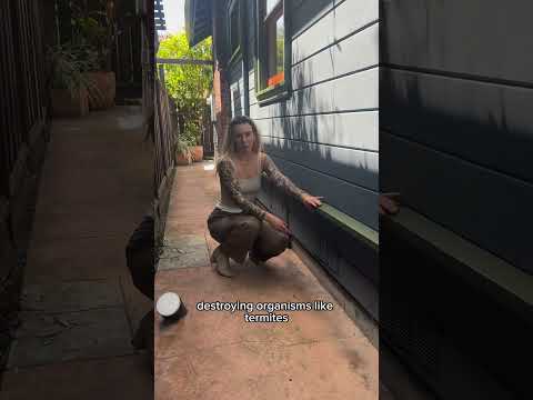 “Grade” = the ground, so siding that covers the foundation stem wall and goes to grade puts wood in