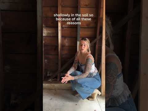 Caps are normally poured on pre WW2 foundations because foundations from that era don’t contain