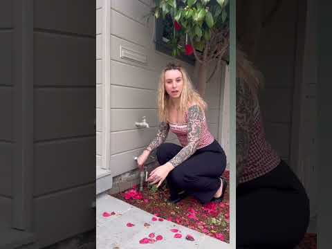 Homeowners, please, locate your main water shut off :) you’ll be so glad you did if you ever have a