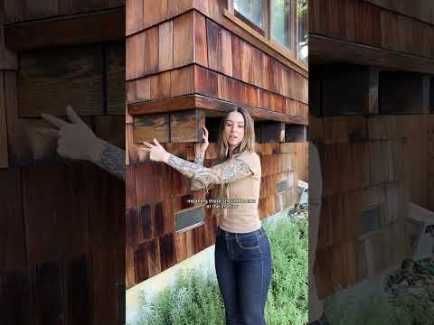 Cantilevers — framing members projecting beyond the exterior of a building, the rule of thirds, and