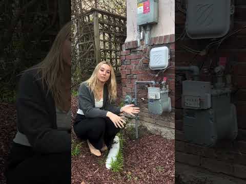 I think about earthquakes a lot