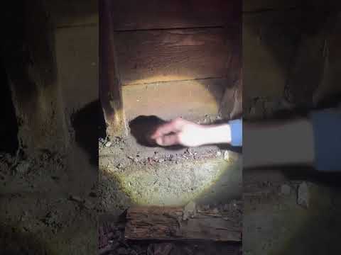 Come on an inspection with me 🌷✨💖 couldn’t bring you through the whole thing in 90 seconds so I