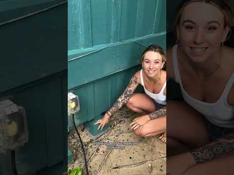 First thing I noticed here is the prevalence of post and pier foundations! Posts on piers sit like a