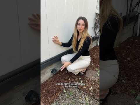 How to spot a modern foundation! Why it’s so awesome when you see one! The benefits of a taller stem