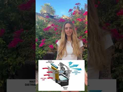 How the simple concept of evaporation can cool your home! Coming to you live from Tucson Arizona on