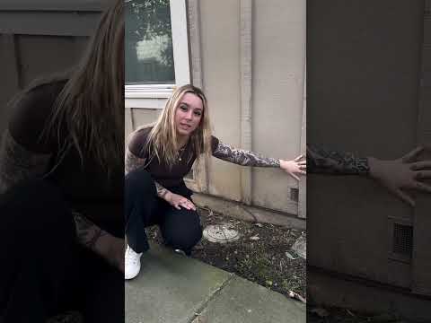 We’ve talked about cedar and redwood siding, now let’s discuss plywood