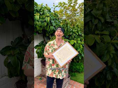 Holiday Gift Idea 🤩 #OpenMyEyes #KBong