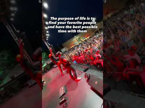 That’s it, that’s the meaning of life. Not chasing status and milestones,  just having the best time