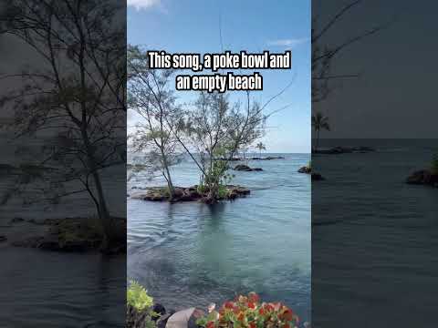 🎶🍱🏝️ maybe just take the rest of your day off and go find this vibe..